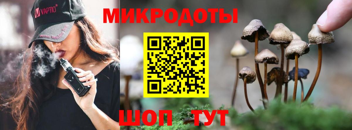 Псилоцибиновые грибы мухоморы  Вход с VPN  Псилоцибиновые грибы Psilocybe  Нефтекумск 
